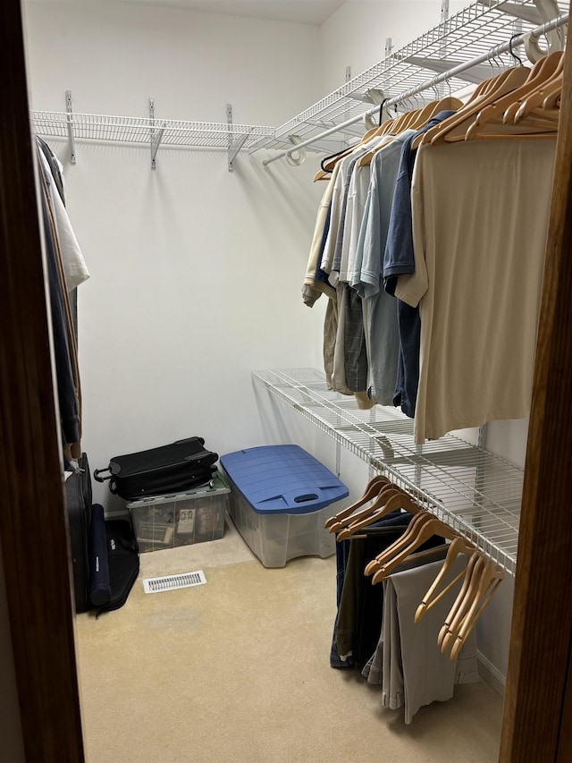 spacious closet featuring carpet floors