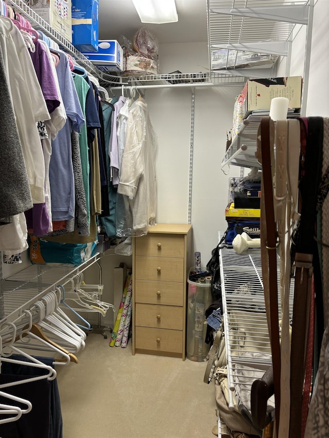 spacious closet featuring carpet
