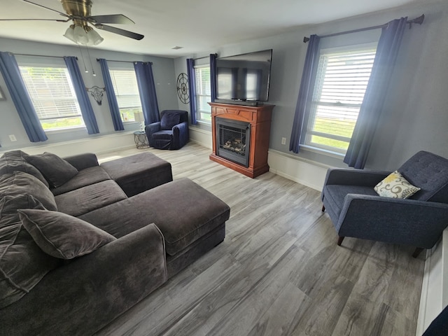 living room with light wood-type flooring, a ceiling fan, plenty of natural light, and a fireplace