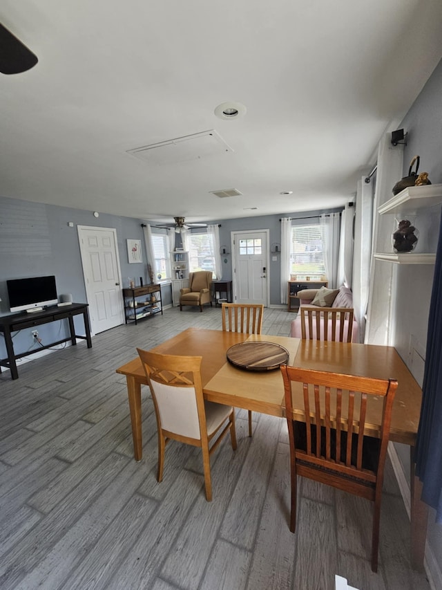 dining room with a ceiling fan, light wood finished floors, and visible vents