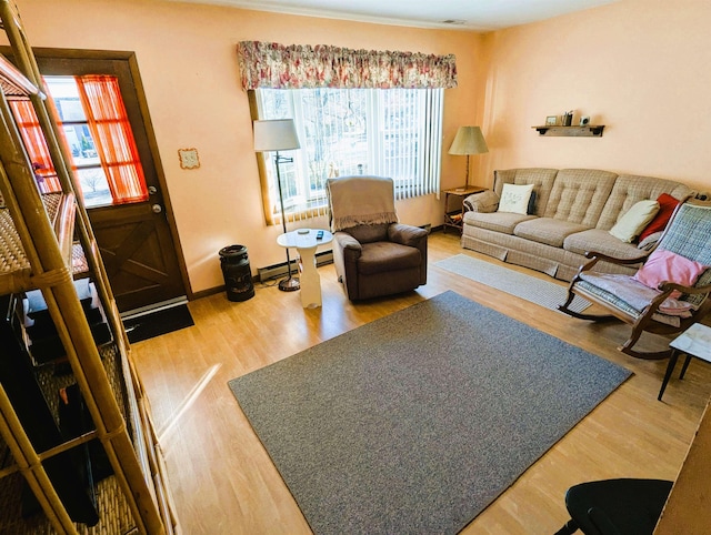 living room featuring hardwood / wood-style floors