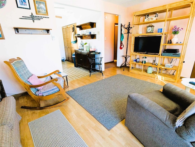 living room featuring hardwood / wood-style floors