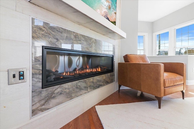 room details featuring wood finished floors and a glass covered fireplace