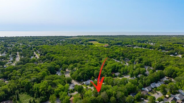 24 Heron Way N, Cape May, NJ 08204 - bird's eye view of a heavily wooded area