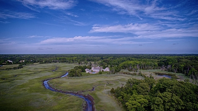 bird's eye view