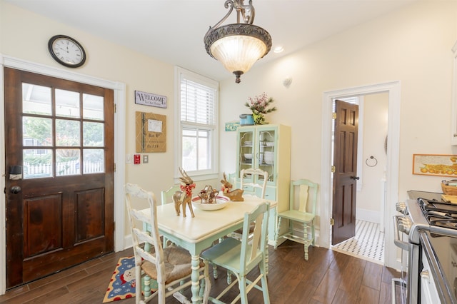 dining room featuring dark wood-type flooring