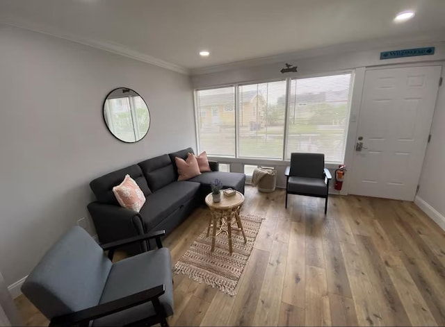 living room with light hardwood / wood-style flooring and ornamental molding