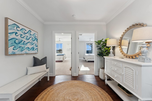 interior space with dark hardwood / wood-style floors and crown molding