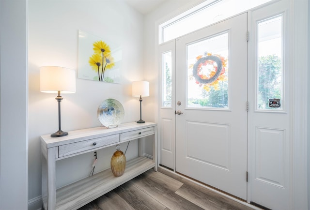 entrance foyer with dark hardwood / wood-style flooring