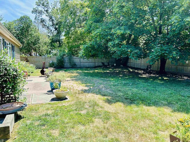 view of yard with a patio area