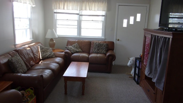 309 E Topeka Ave, Wildwood Crest, NJ 08260 - living room featuring light colored carpet and plenty of natural light