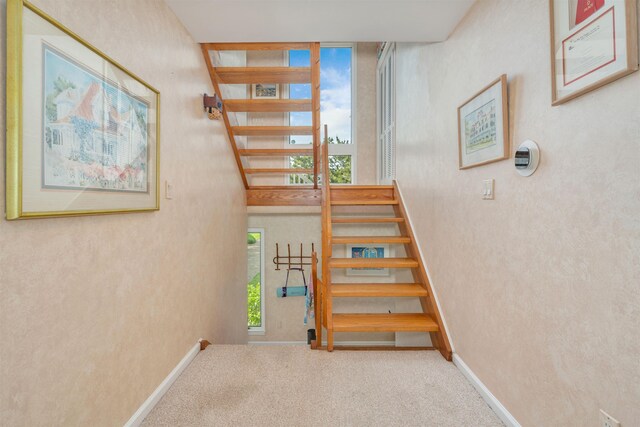 1736 New York Ave, Cape May, NJ 08204 - photo 21