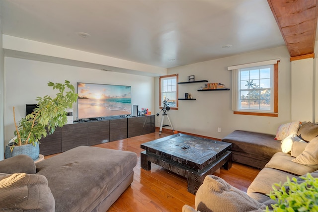 living room featuring a healthy amount of sunlight and light wood-type flooring