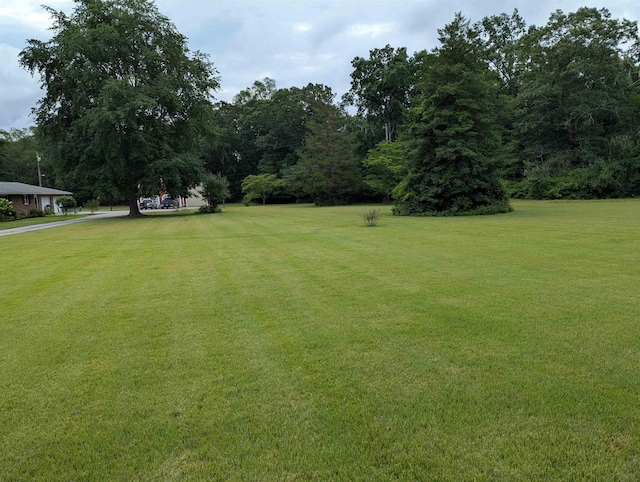 71 Perry Rd, Petersburg, NJ 08270 - view of green lawn