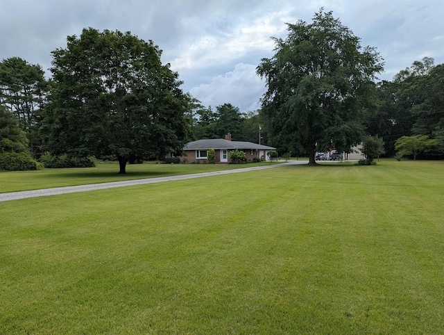 71 Perry Rd, Petersburg, NJ 08270 - view of green lawn