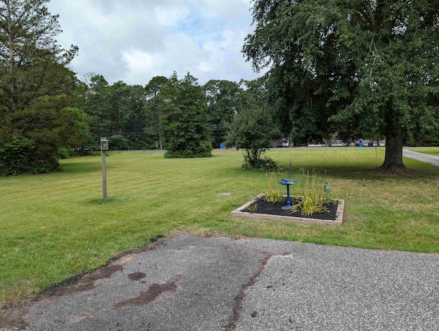 71 Perry Rd, Petersburg, NJ 08270 - view of grassy yard