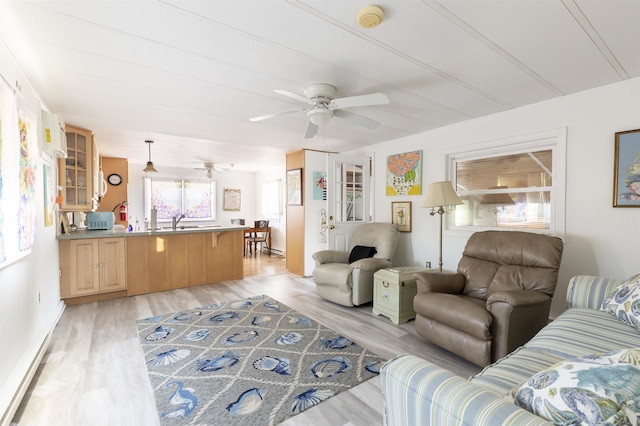 living room featuring sink, ceiling fan, and light wood-type flooring