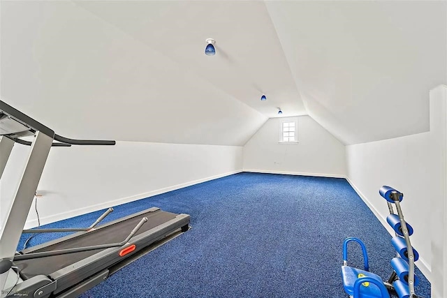 48 Cedar Meadow Dr, Cape May Court House, NJ 08210 - workout area with baseboards, carpet, and vaulted ceiling