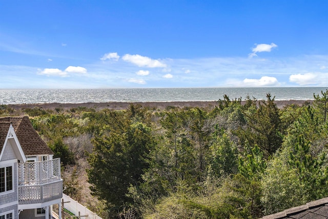 property view of water