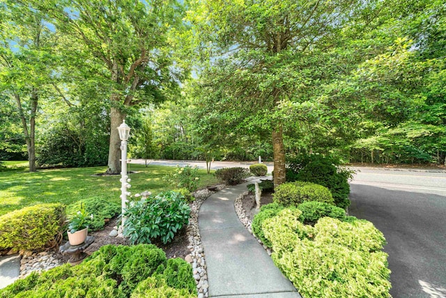 651 Fire Ln, North Cape May, NJ 08204 - photo 5