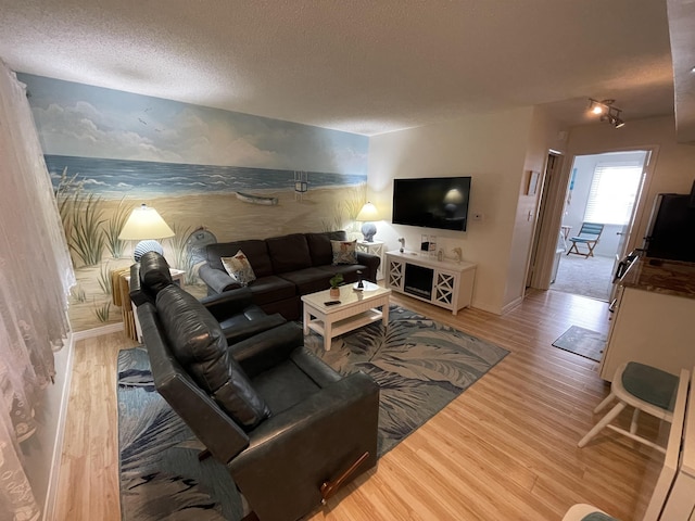 875 Plymouth Pl Unit 33, Ocean City, NJ 08226 - living room with wood finished floors, a textured ceiling, and baseboards