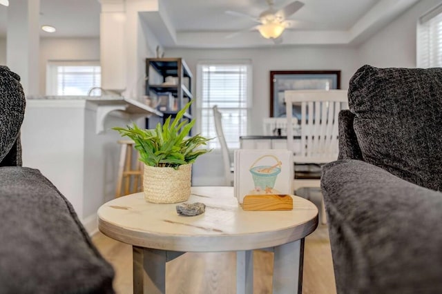 dining area featuring a ceiling fan, a raised ceiling, and wood finished floors