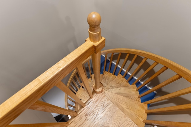 423 E 10th Ave Unit 1, North Wildwood, NJ 08260 - photo 34