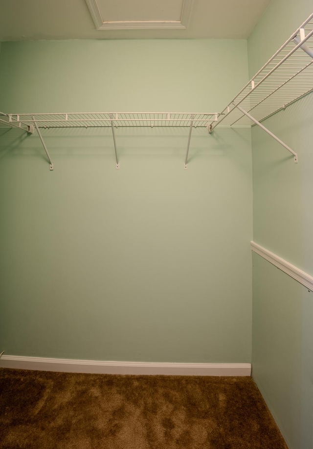101 Sea Foam Rd, Egg Harbor Township, NJ 08234 - photo 22