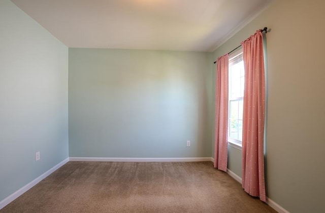 101 Sea Foam Rd, Egg Harbor Township, NJ 08234 - photo 16