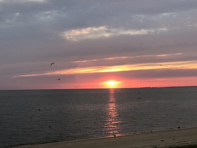 52 S Beach Ave, Cape May Court House, NJ 08210 - photo 24
