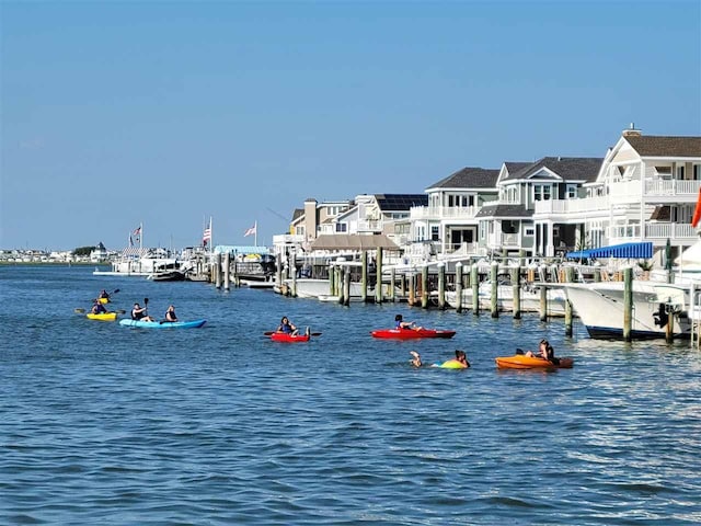 water view with a dock