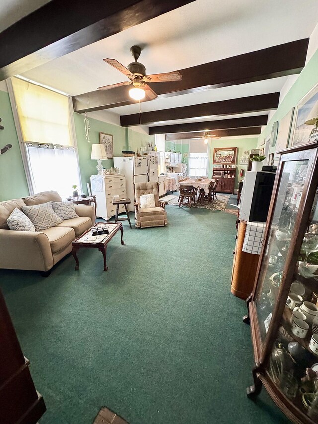 202 Perry St, Cape May, NJ 08204 - photo 5