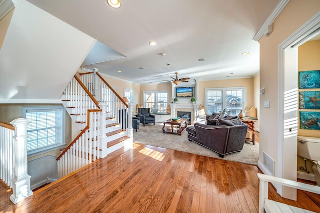 living room featuring crown molding, ceiling fan, and light wood-type flooring