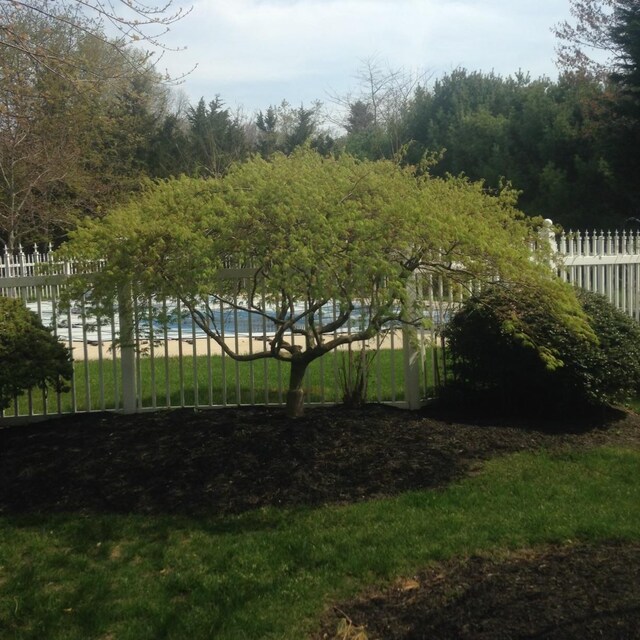 view of yard with a water view