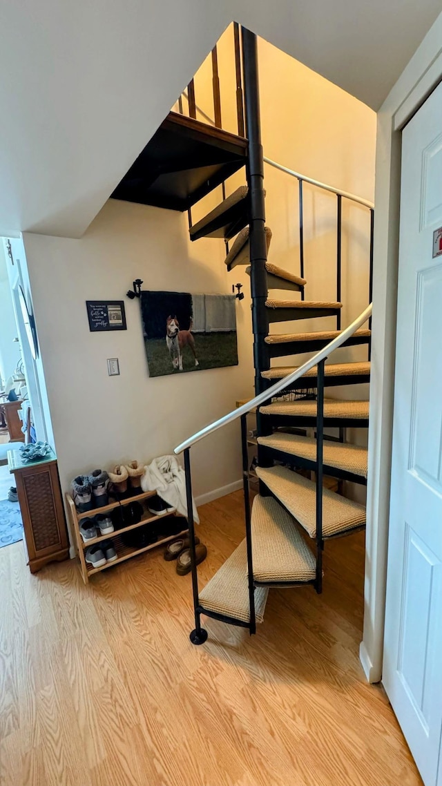 stairway featuring hardwood / wood-style floors