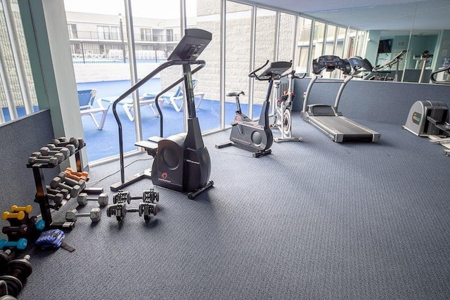 workout area featuring carpet, a wall of windows, and a wealth of natural light