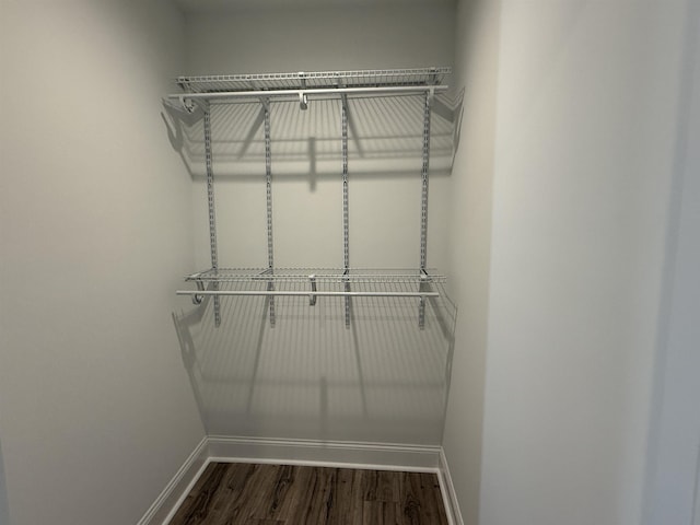 walk in closet with dark wood finished floors