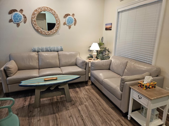 living room featuring hardwood / wood-style floors