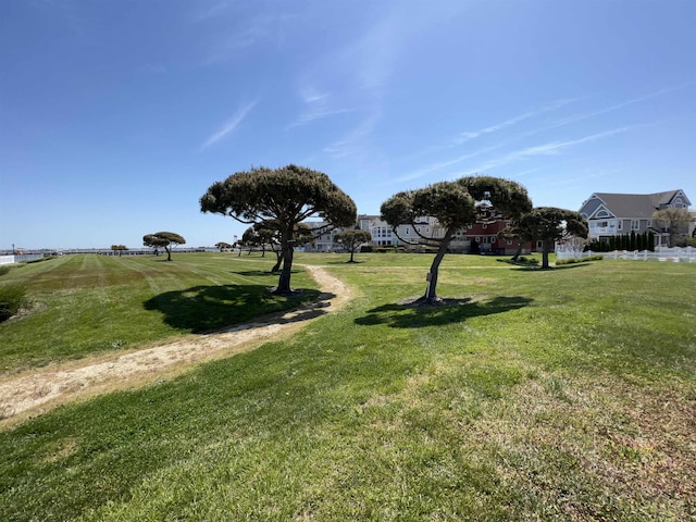 40 Harbor Cv, Cape May, NJ 08204 - view of yard