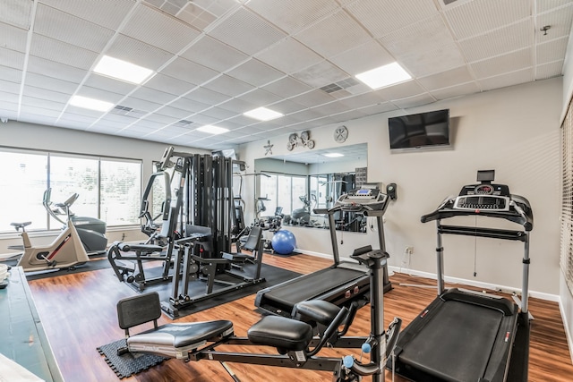 exercise room with hardwood / wood-style floors and a paneled ceiling