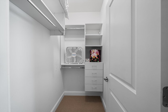 walk in closet featuring carpet