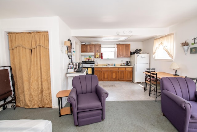 carpeted living room with sink and plenty of natural light