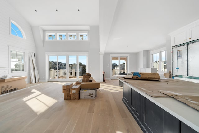 living room featuring a wealth of natural light, light hardwood / wood-style floors, and a high ceiling