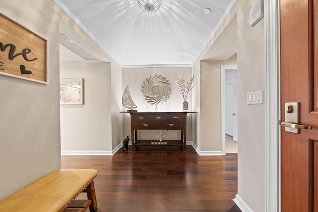 hall featuring ornamental molding and dark wood-type flooring