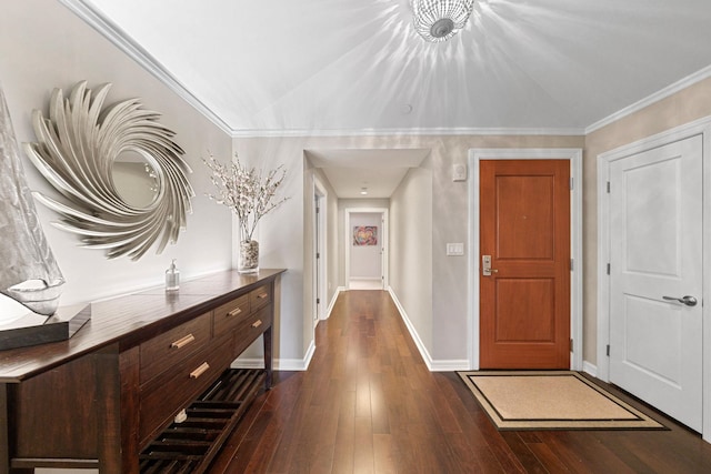 foyer entrance featuring crown molding and dark hardwood / wood-style flooring