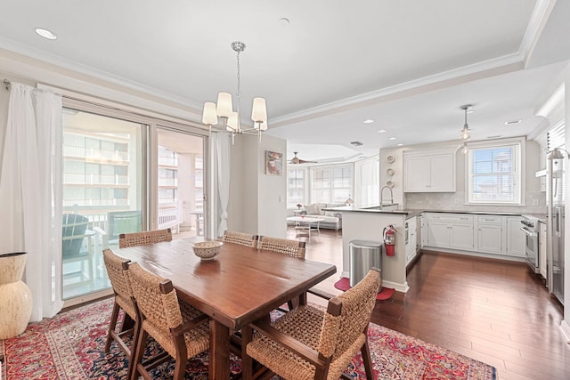 dining area with dark hardwood / wood-style flooring, ornamental molding, ceiling fan with notable chandelier, a raised ceiling, and sink