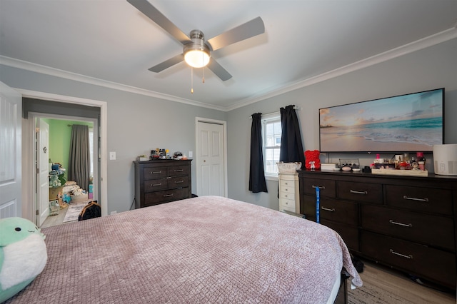 bedroom featuring ornamental molding, a closet, light wood-type flooring, and a ceiling fan