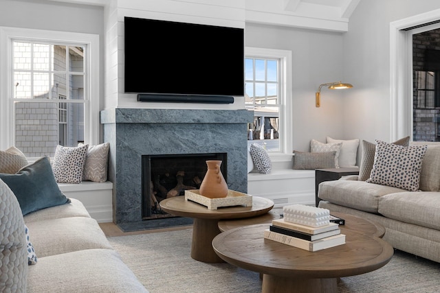 living room with a wealth of natural light, a premium fireplace, and wood-type flooring