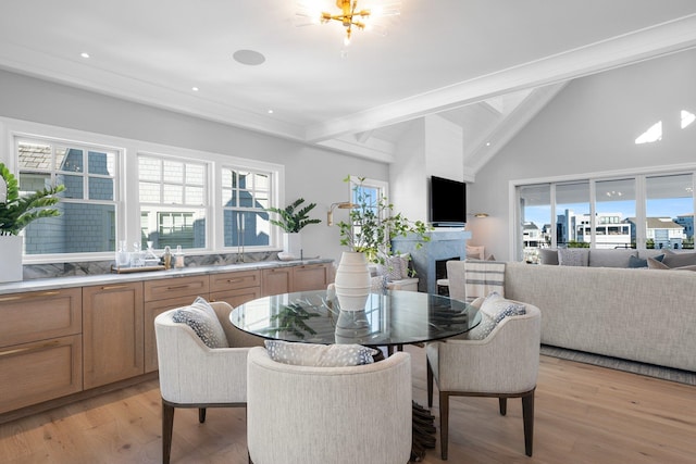 dining room with a fireplace, plenty of natural light, and light hardwood / wood-style floors