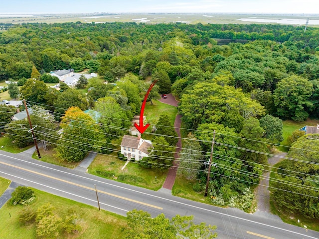 2320 Shore Rd, Ocean View, NJ 08210 - drone / aerial view of a heavily wooded area